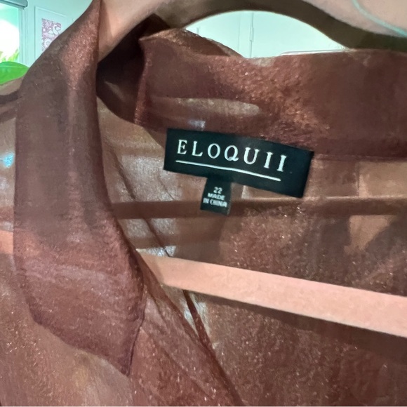 Brown sheer button up top - Picture 5 of 6